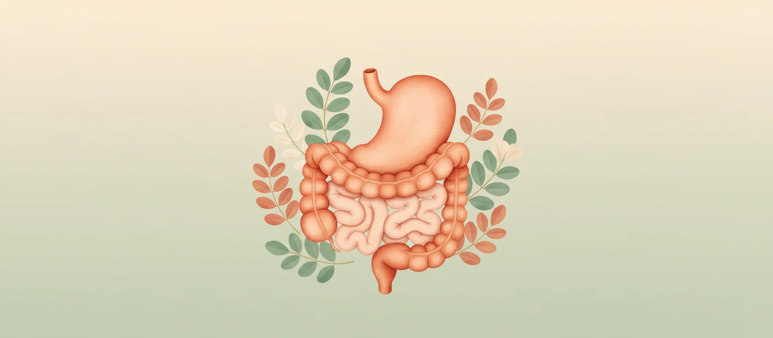 Digestive Health - Ayurvedic Child Health Clinic - Ayurvedic Header