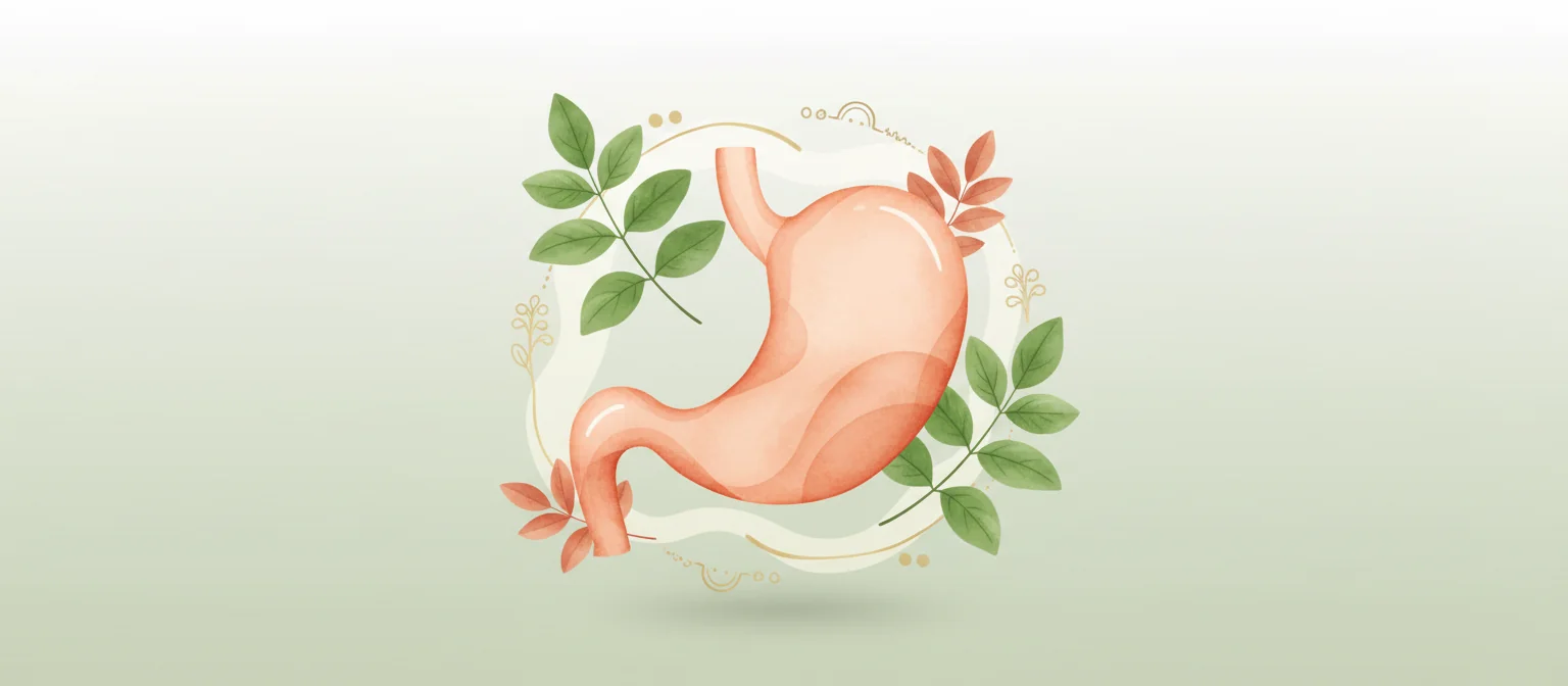Digestive Treatments - Ayurvedic Child Health Clinic - Ayurvedic Header